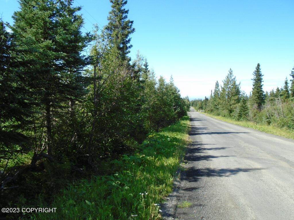 3. Land for Sale at L9A Jamie Drive Anchorage, Alaska 99516 United States