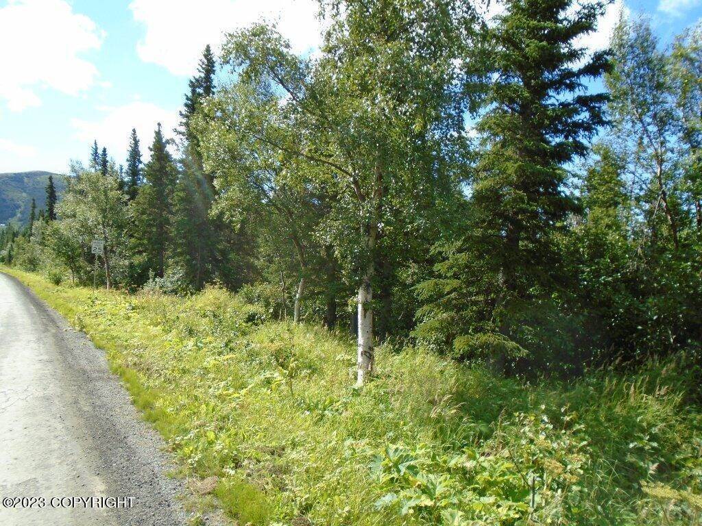 7. Land for Sale at L10A Jamie Avenue Anchorage, Alaska 99516 United States