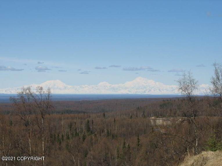 1. Land for Sale at 15630 W Willa's Way Willow, Alaska 99688 United States