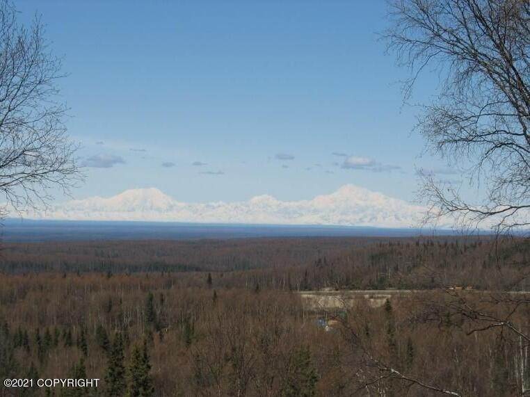 4. Land for Sale at 15630 W Willa's Way Willow, Alaska 99688 United States