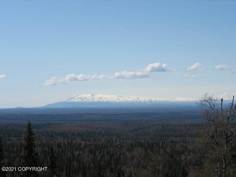 7. Land for Sale at 15630 W Willa's Way Willow, Alaska 99688 United States