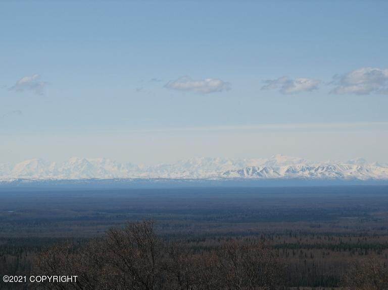 10. Land for Sale at 15630 W Willa's Way Willow, Alaska 99688 United States