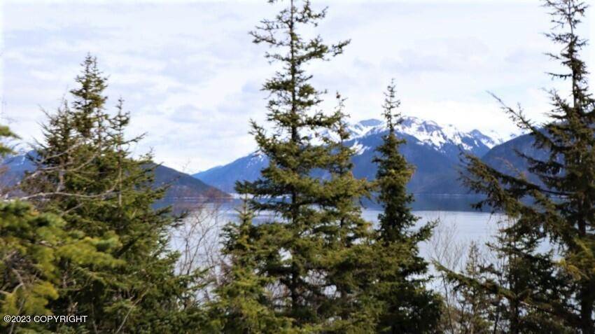 11. Land for Sale at L8 BB Skyline Drive Haines, Alaska 99827 United States