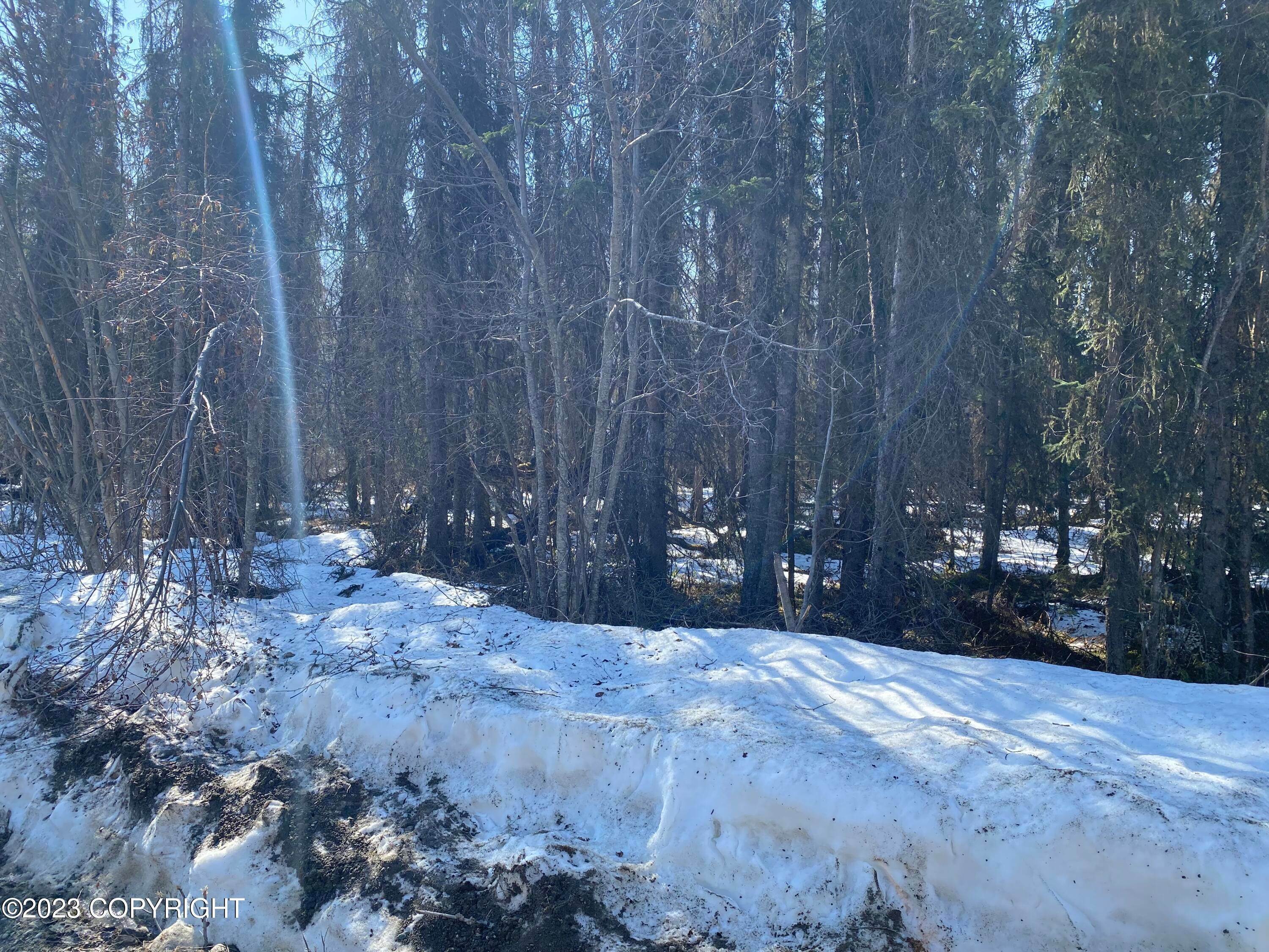 7. Land for Sale at 20256 W Twitty Avenue Willow, Alaska 99688 United States