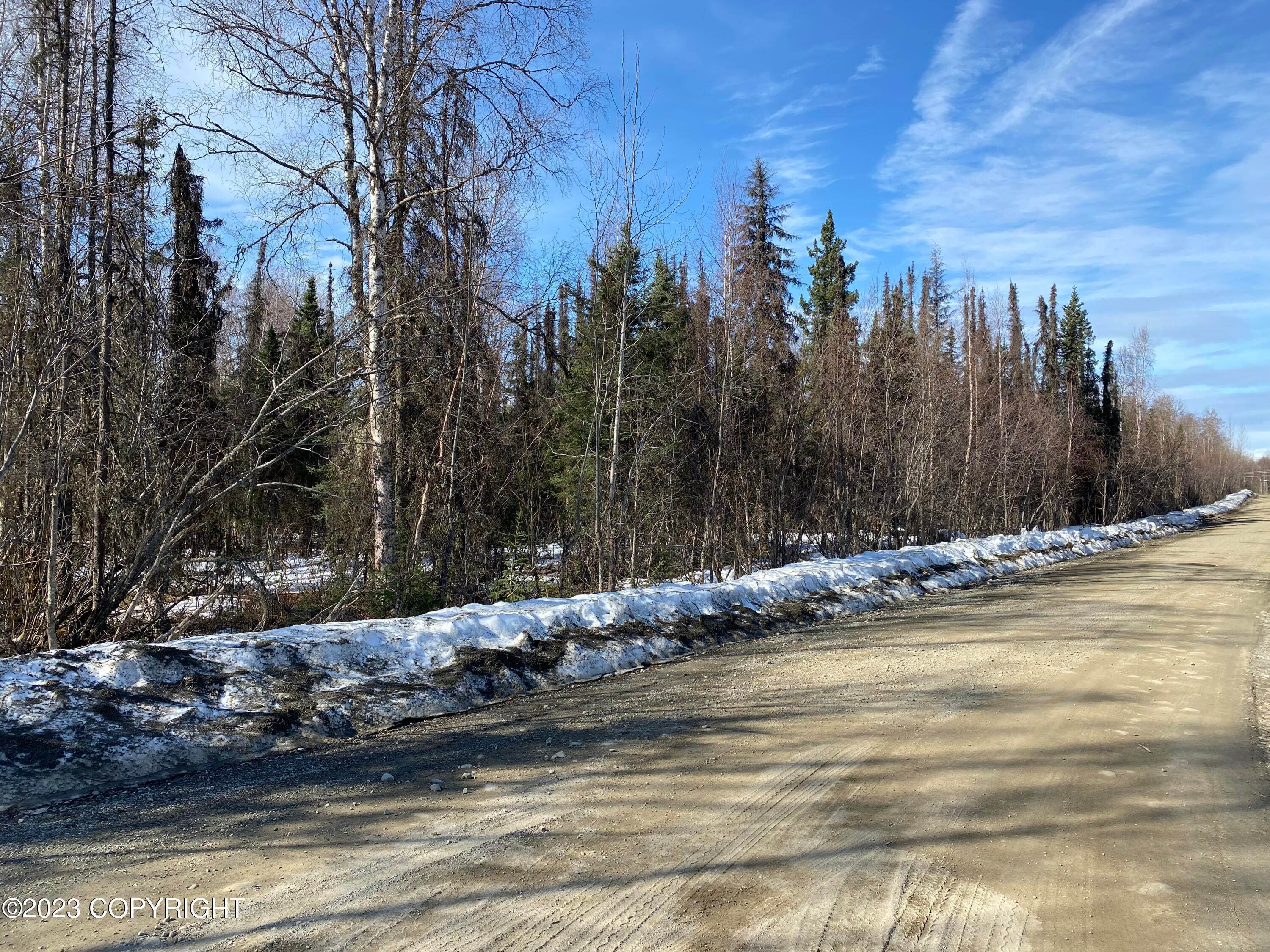 2. Land for Sale at 20256 W Twitty Avenue Willow, Alaska 99688 United States
