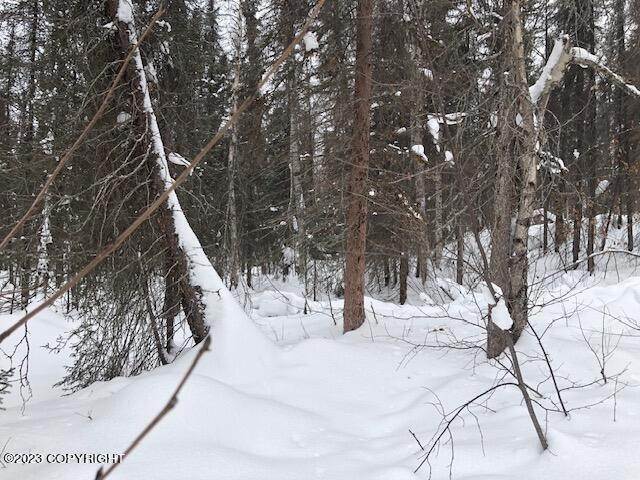3. Land for Sale at Tr 92 Trapper Lake Willow, Alaska 99688 United States