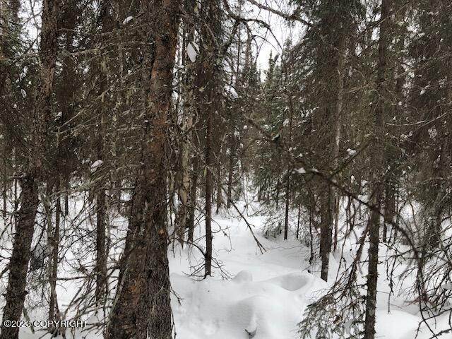 10. Land for Sale at Tr 92 Trapper Lake Willow, Alaska 99688 United States