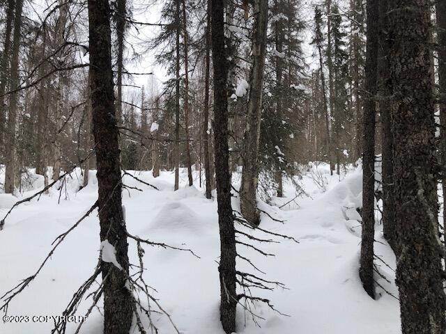 2. Land for Sale at Tr 92 Trapper Lake Willow, Alaska 99688 United States