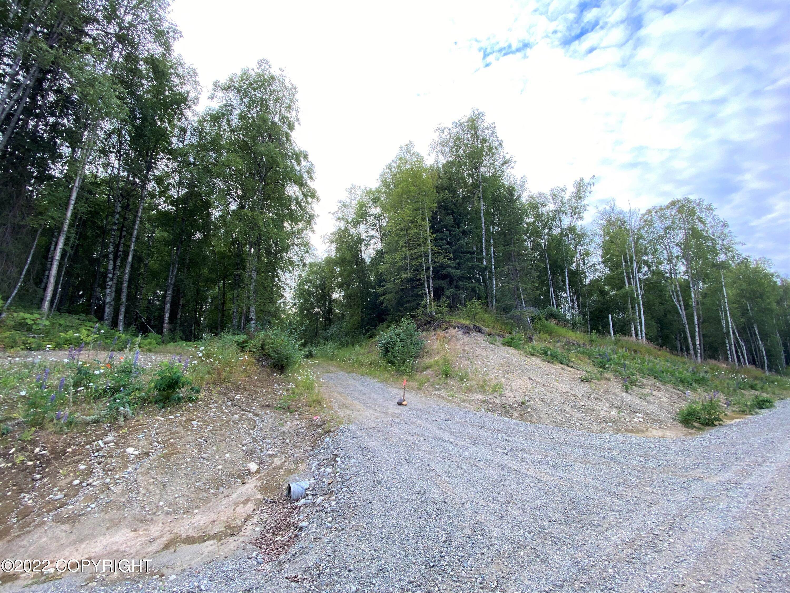 19. Land for Sale at 9506 N Nordic Street Willow, Alaska 99688 United States