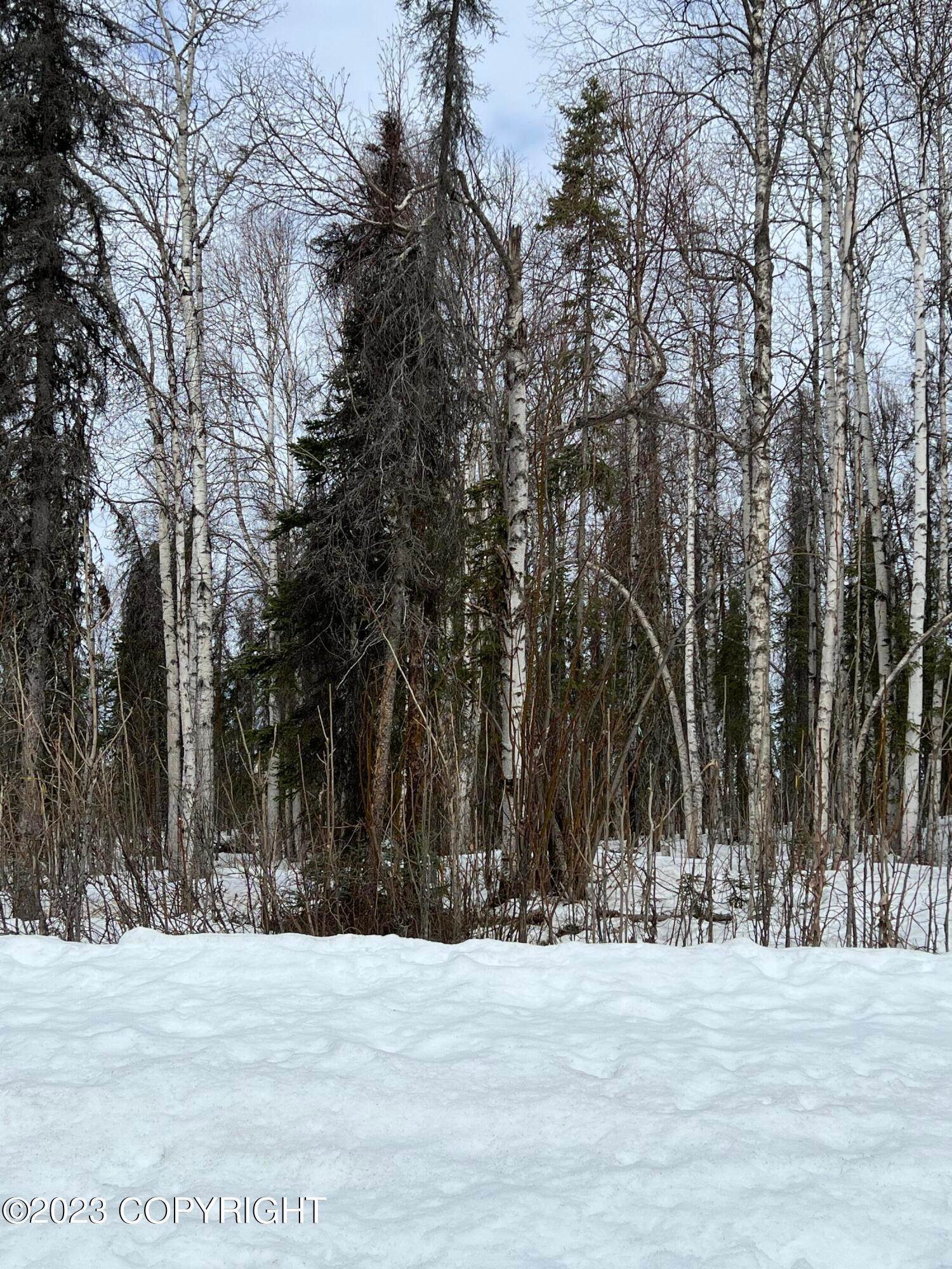 3. Land for Sale at 54954 S Salmon Run Road Willow, Alaska 99688 United States
