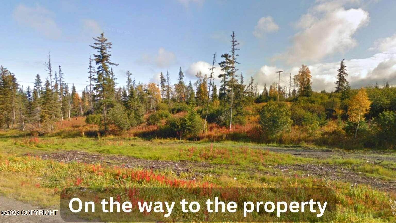 2. Land for Sale at Spern Road Anchor Point, Alaska 99556 United States