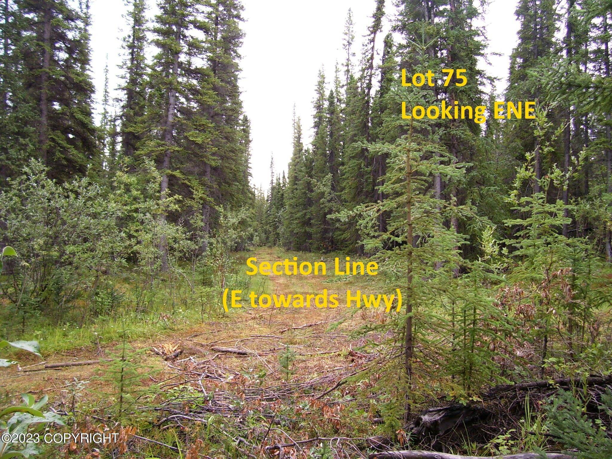 5. Land for Sale at Mile 115 Richardson Highway Glennallen, Alaska 99588 United States