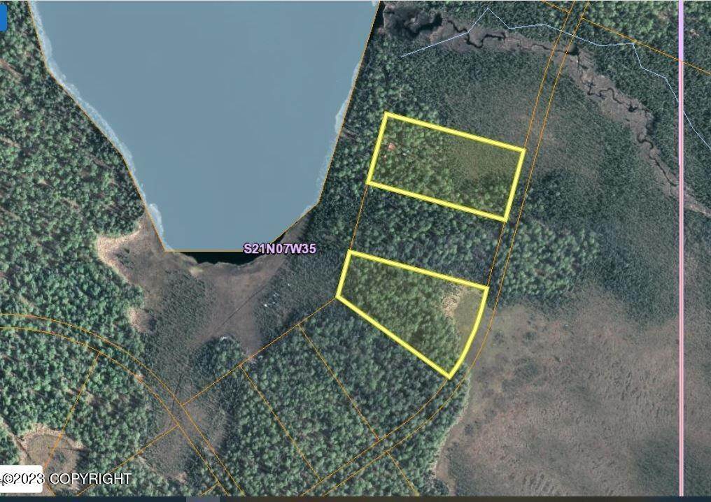 39. Single Family Homes for Sale at L21 Nor Road & L23 Kahiltna Flats Willow, Alaska 99688 United States