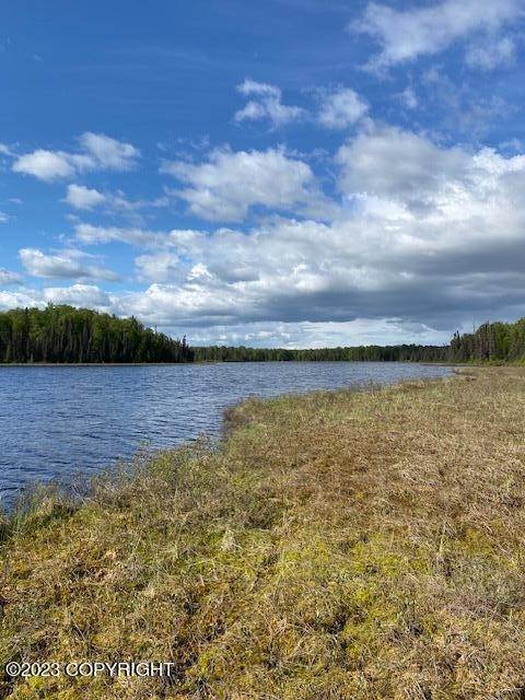 32. Single Family Homes for Sale at L21 Nor Road & L23 Kahiltna Flats Willow, Alaska 99688 United States
