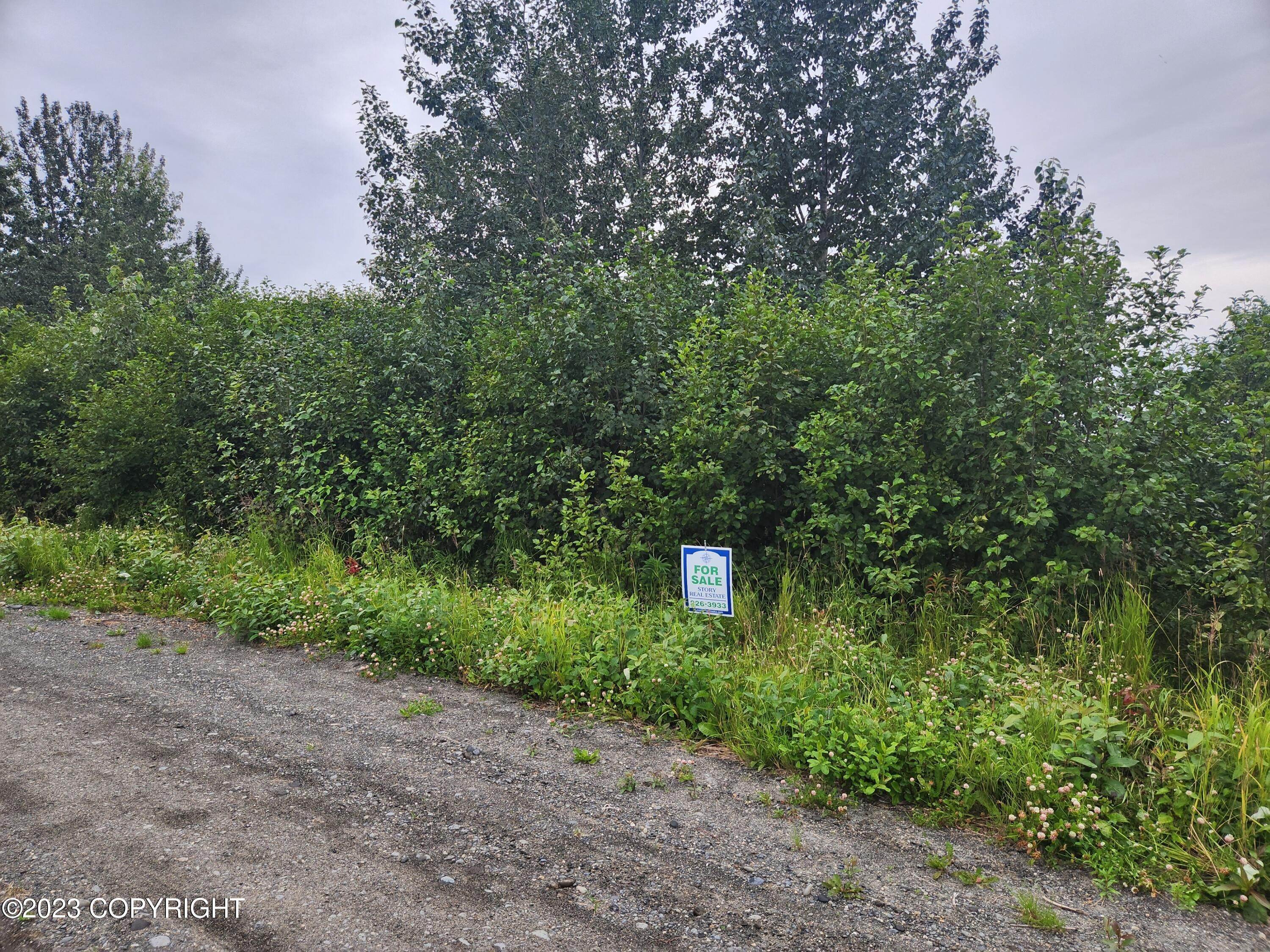 Terreno por un Venta en 65251 Wagon Road Nikolaevsk, Alaska 99556 Estados Unidos