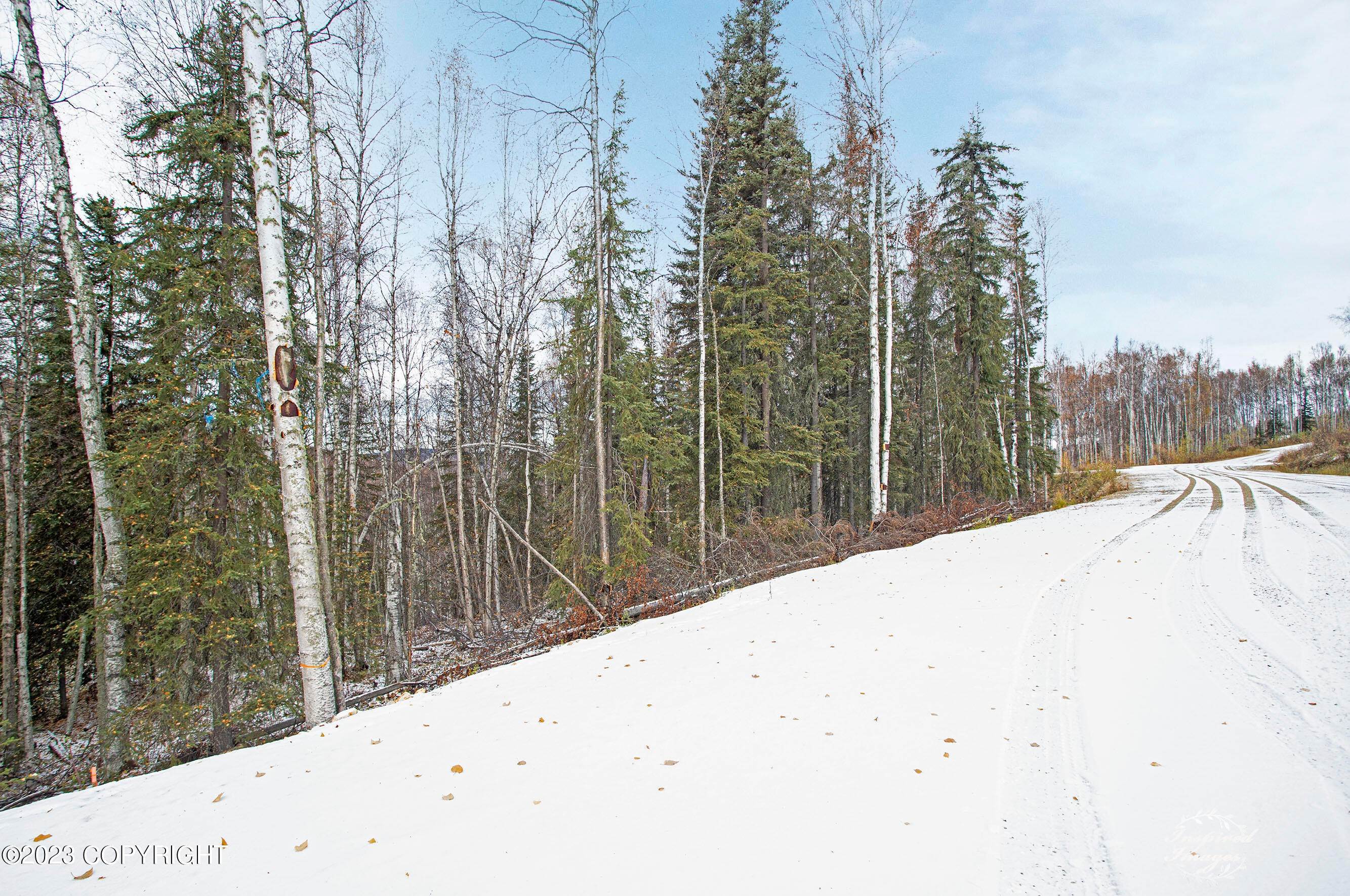 18. Land for Sale at Tract-C Birch Bend Court Fairbanks, Alaska 99712 United States
