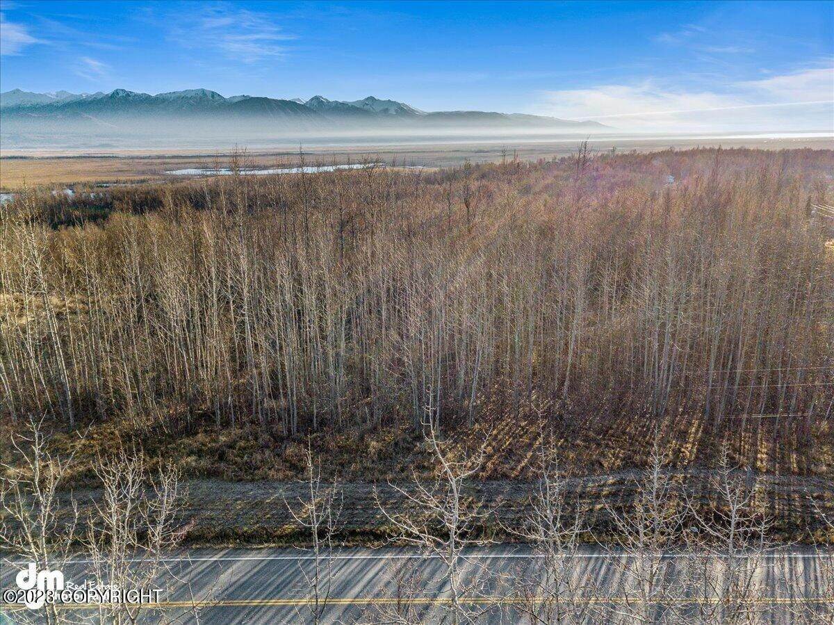 20. Land for Sale at 130 E Fairview Loop Wasilla, Alaska 99654 United States