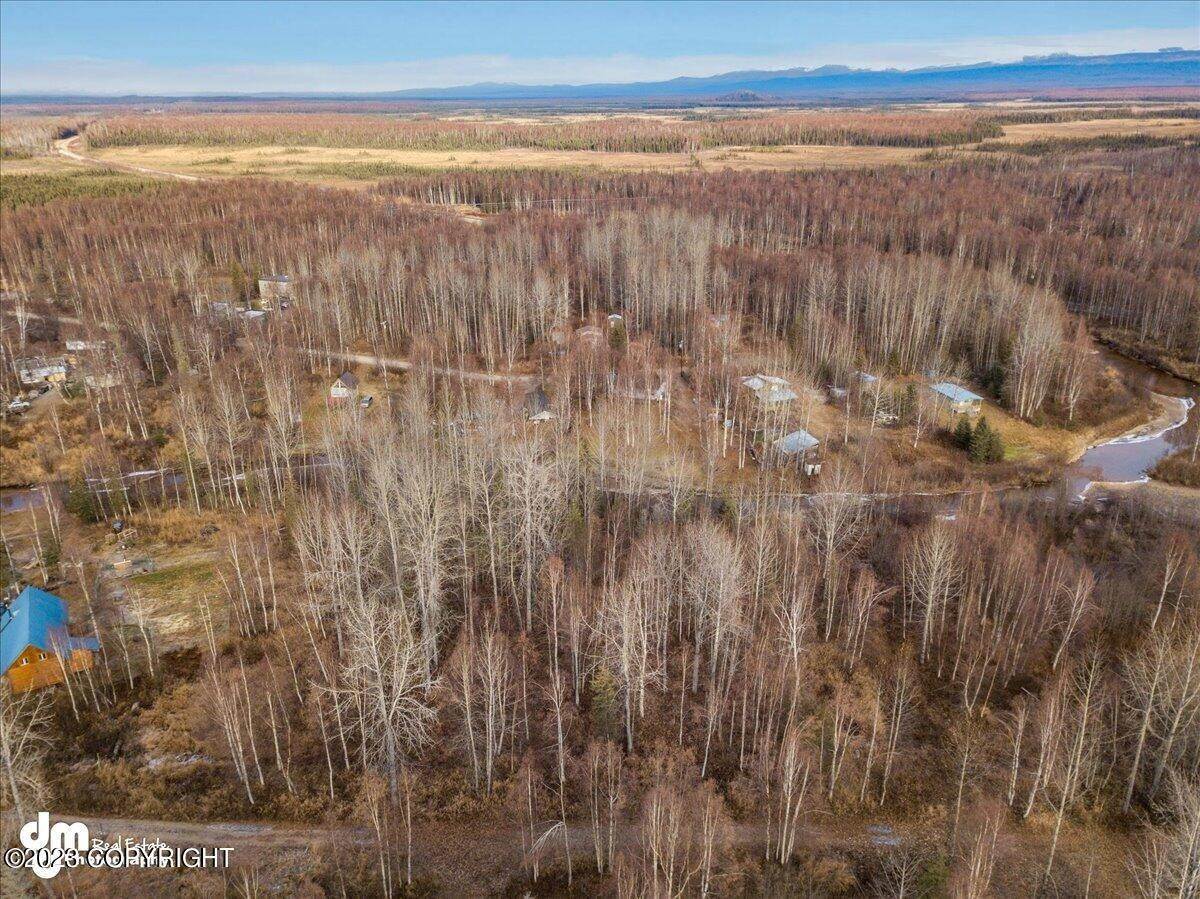 5. Land for Sale at 24061 W Wade Drive Willow, Alaska 99688 United States