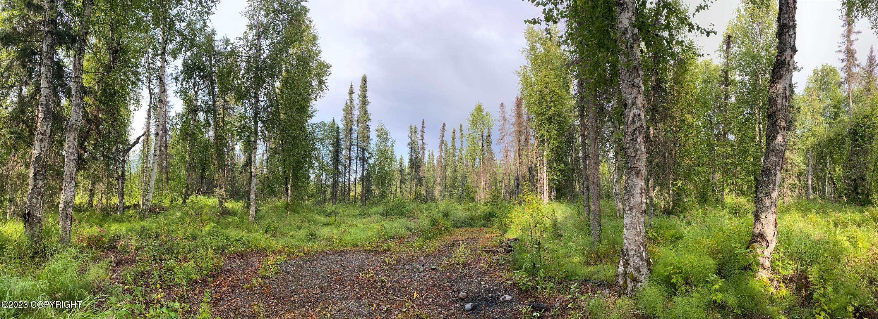 5. Land for Sale at 49395 S Noahs Circle Willow, Alaska 99688 United States