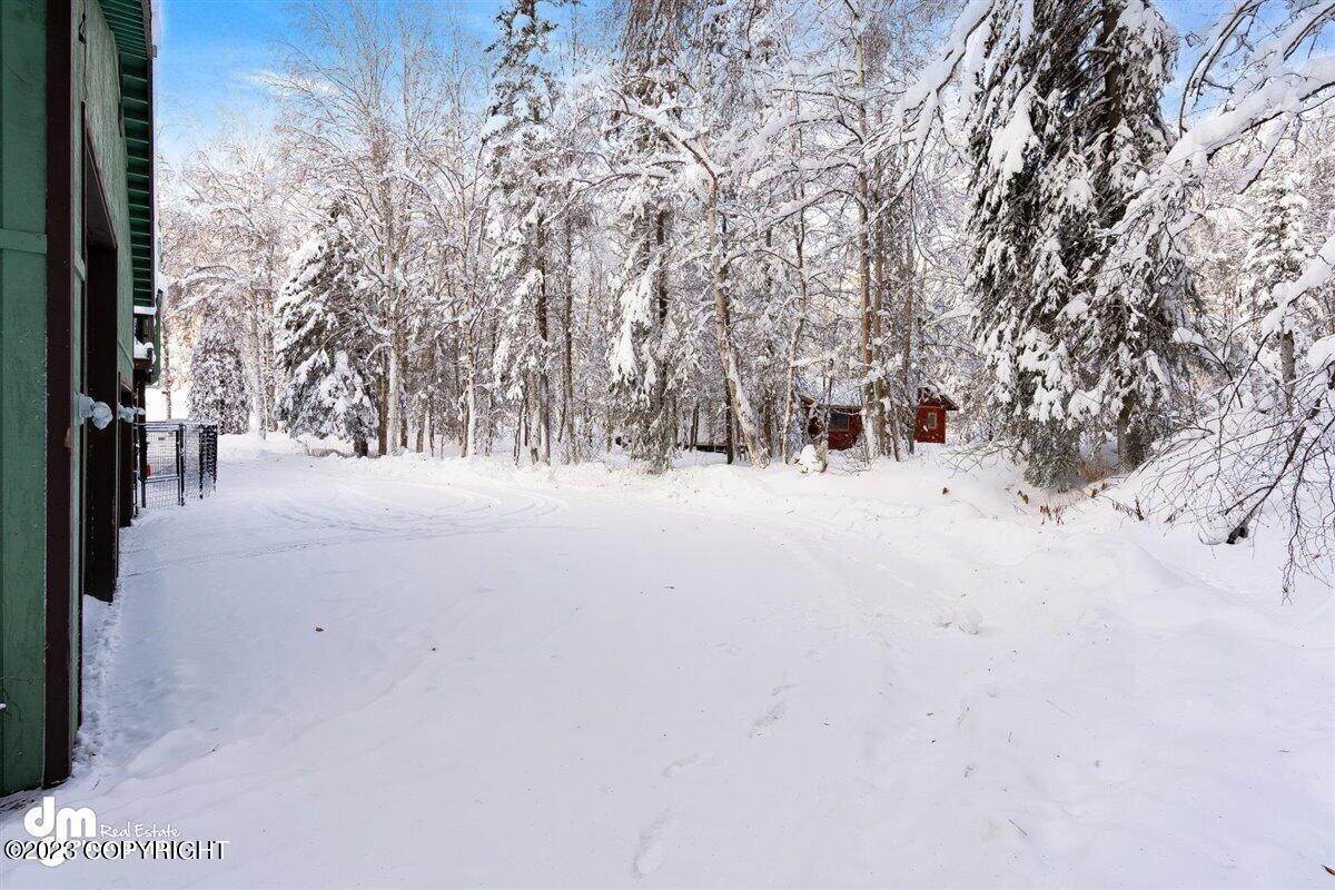 44. Single Family Homes for Sale at 20149 Chugach Park Drive Chugiak, Alaska 99567 United States
