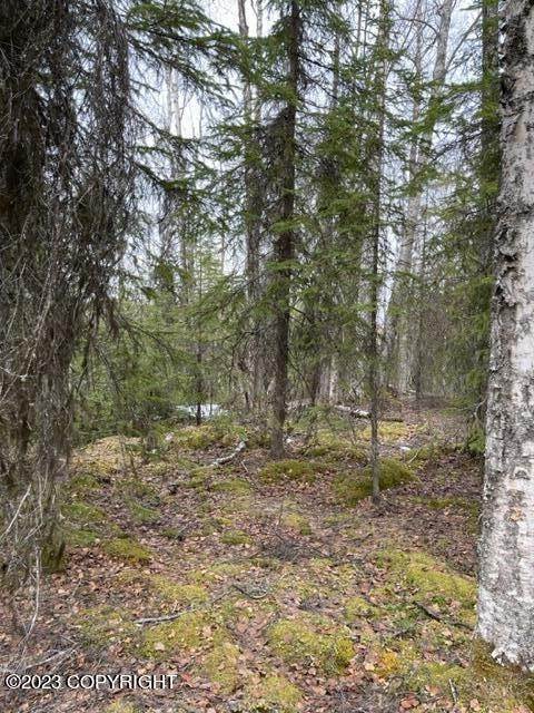 4. Land for Sale at D001 Kuster Drive Big Lake, Alaska 99652 United States
