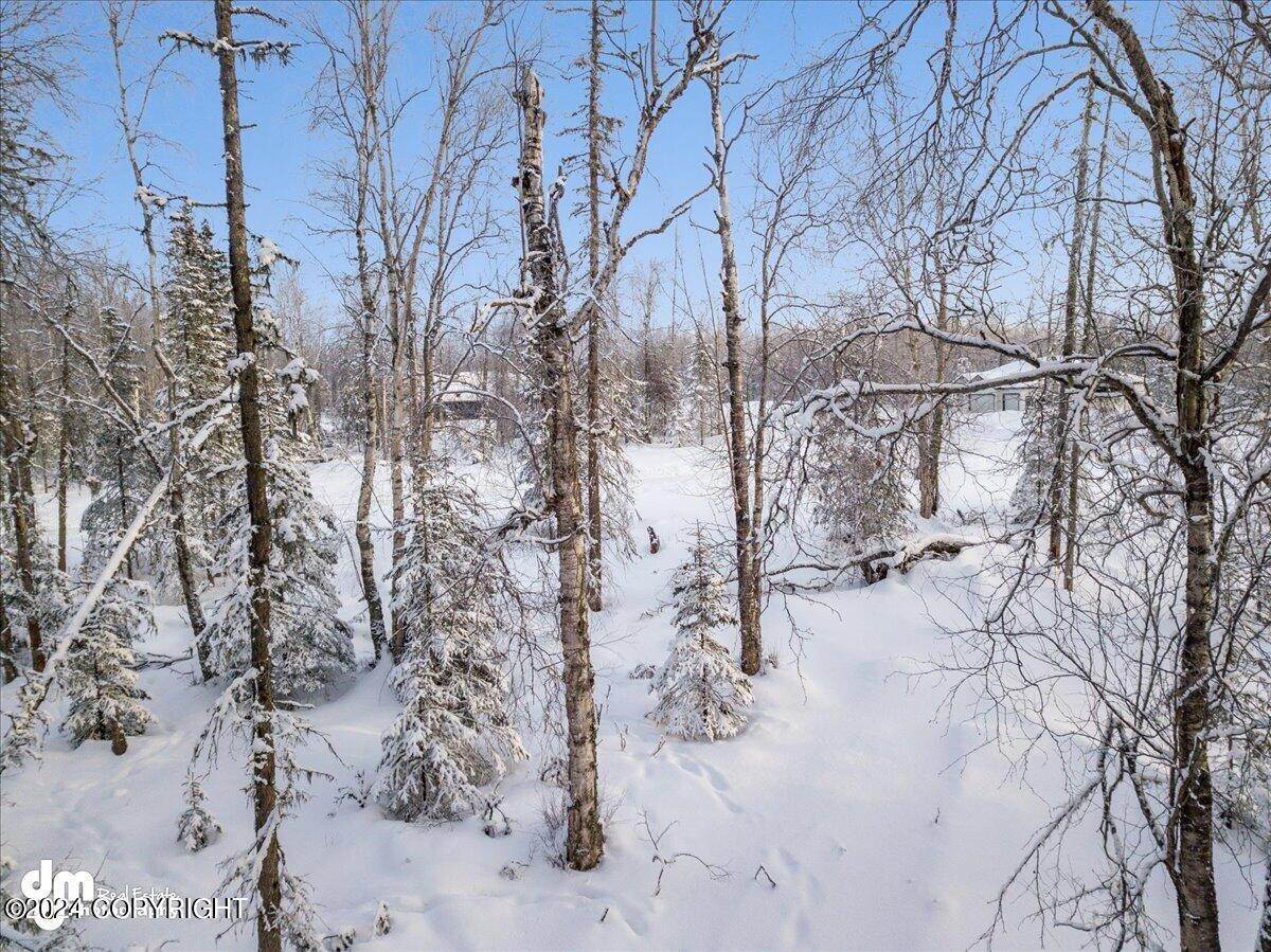 15. Land for Sale at 492 W Wood Star Drive Wasilla, Alaska 99654 United States