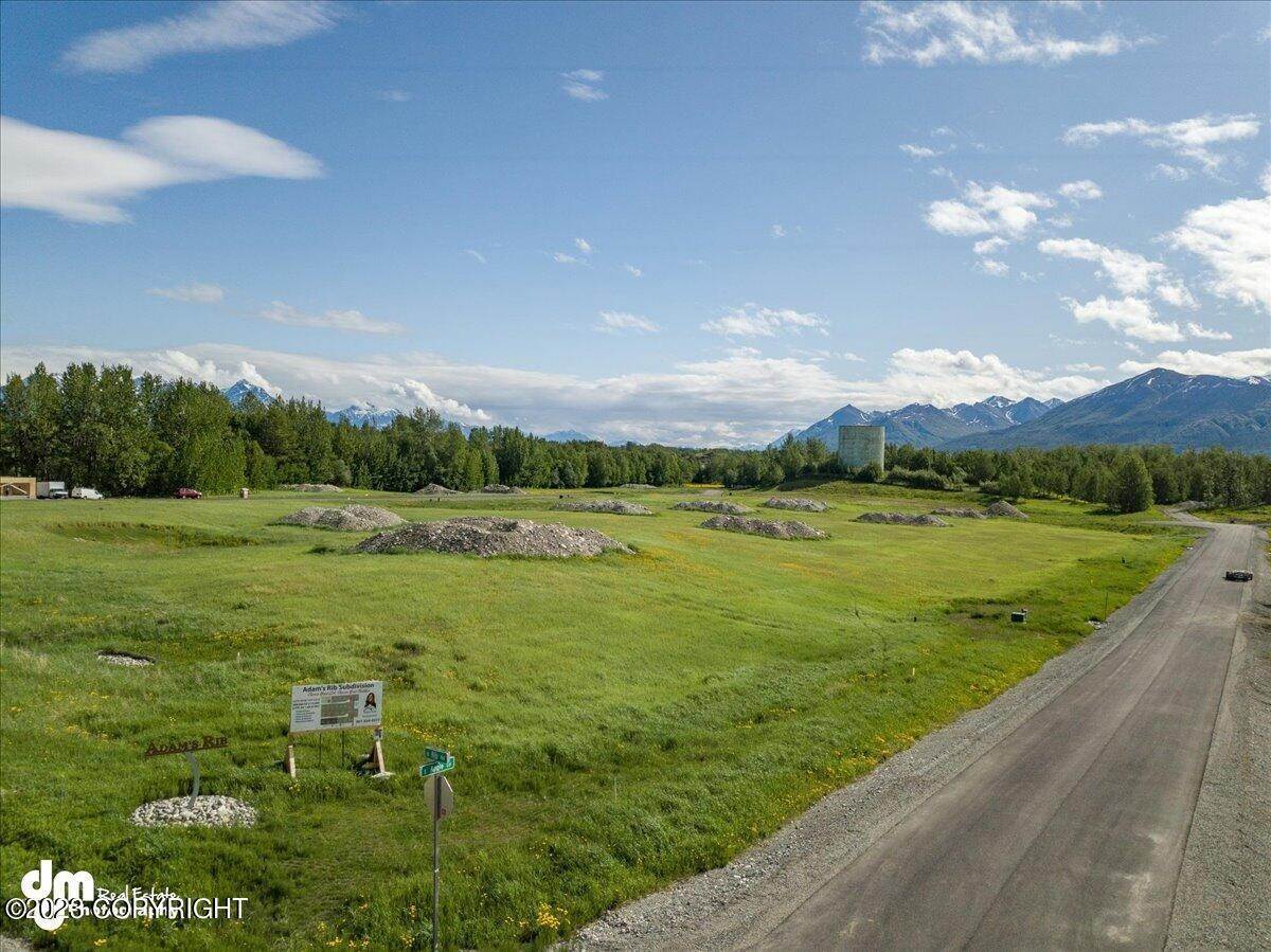 23. Land for Sale at NKN E Fig Circle Palmer, Alaska 99645 United States