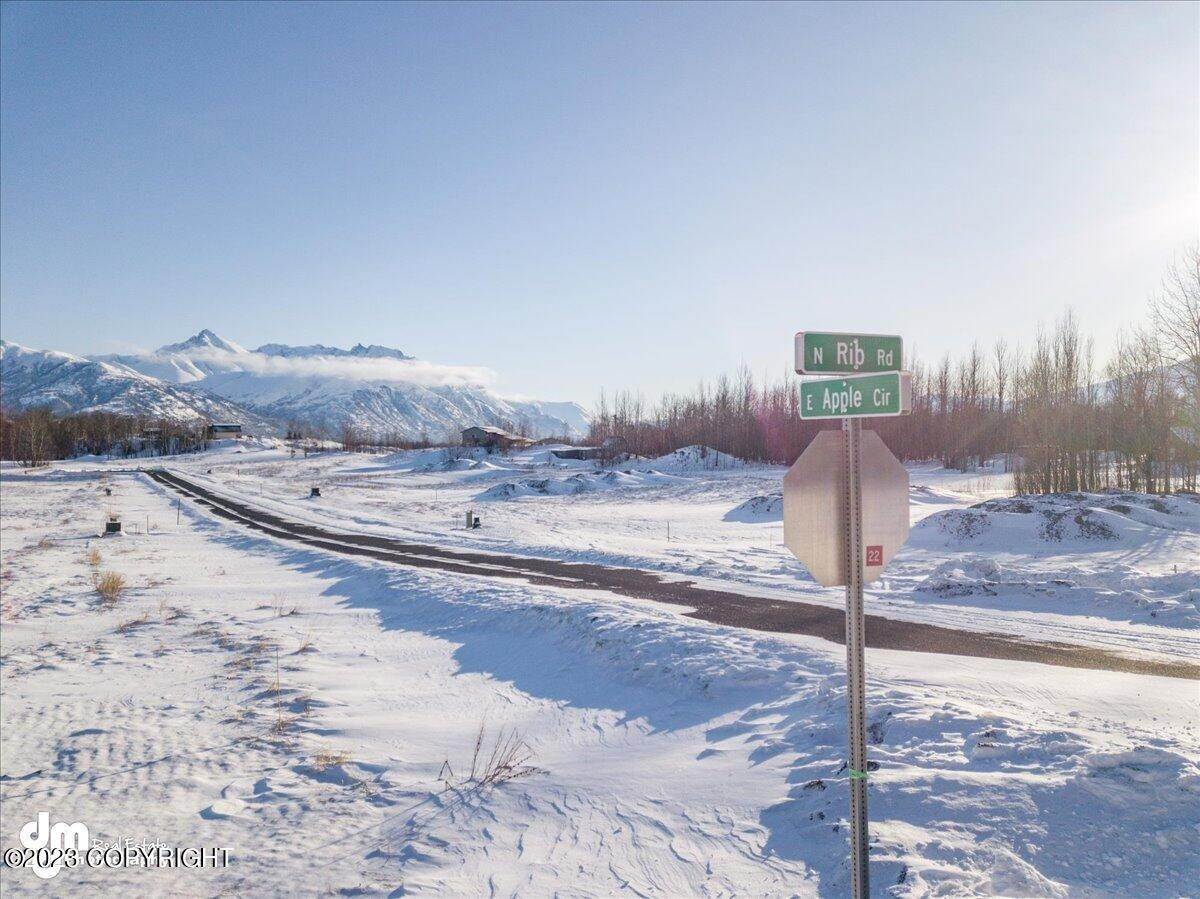 Land for Sale at 11876 E Fig Circle Palmer, Alaska 99645 United States