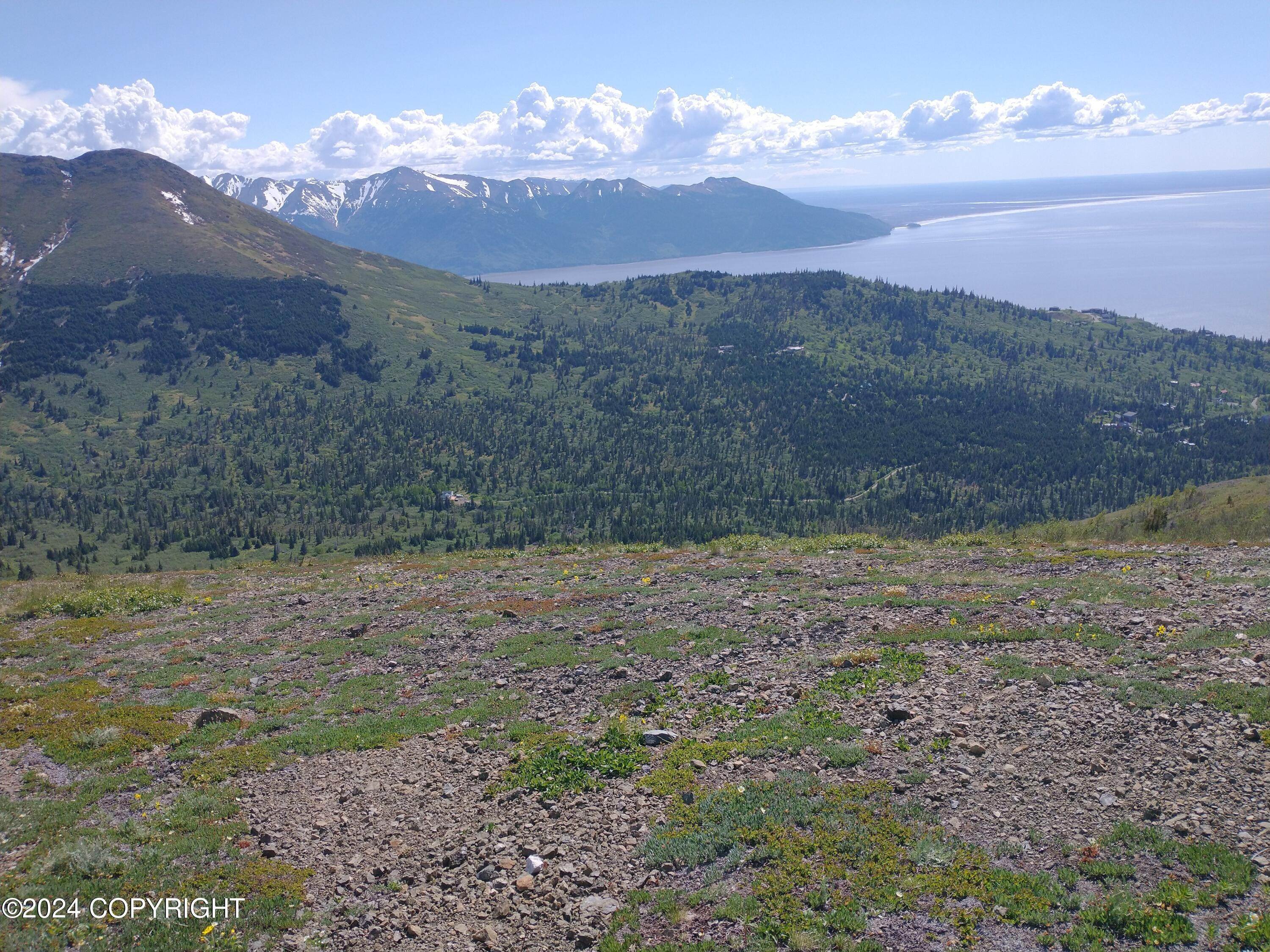 3. Land for Sale at Big Mountain Drive Anchorage, Alaska 99516 United States