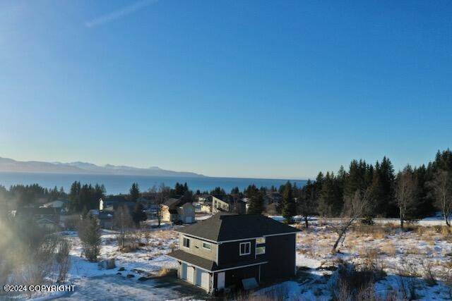 6. Land for Sale at 3885 Cabana Court Homer, Alaska 99603 United States