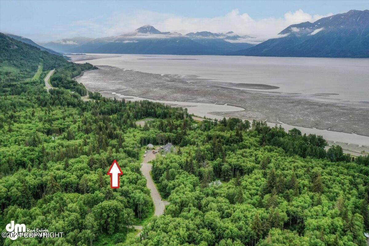 3. Land for Sale at L31 Ledyard Circle Indian, Alaska 99540 United States