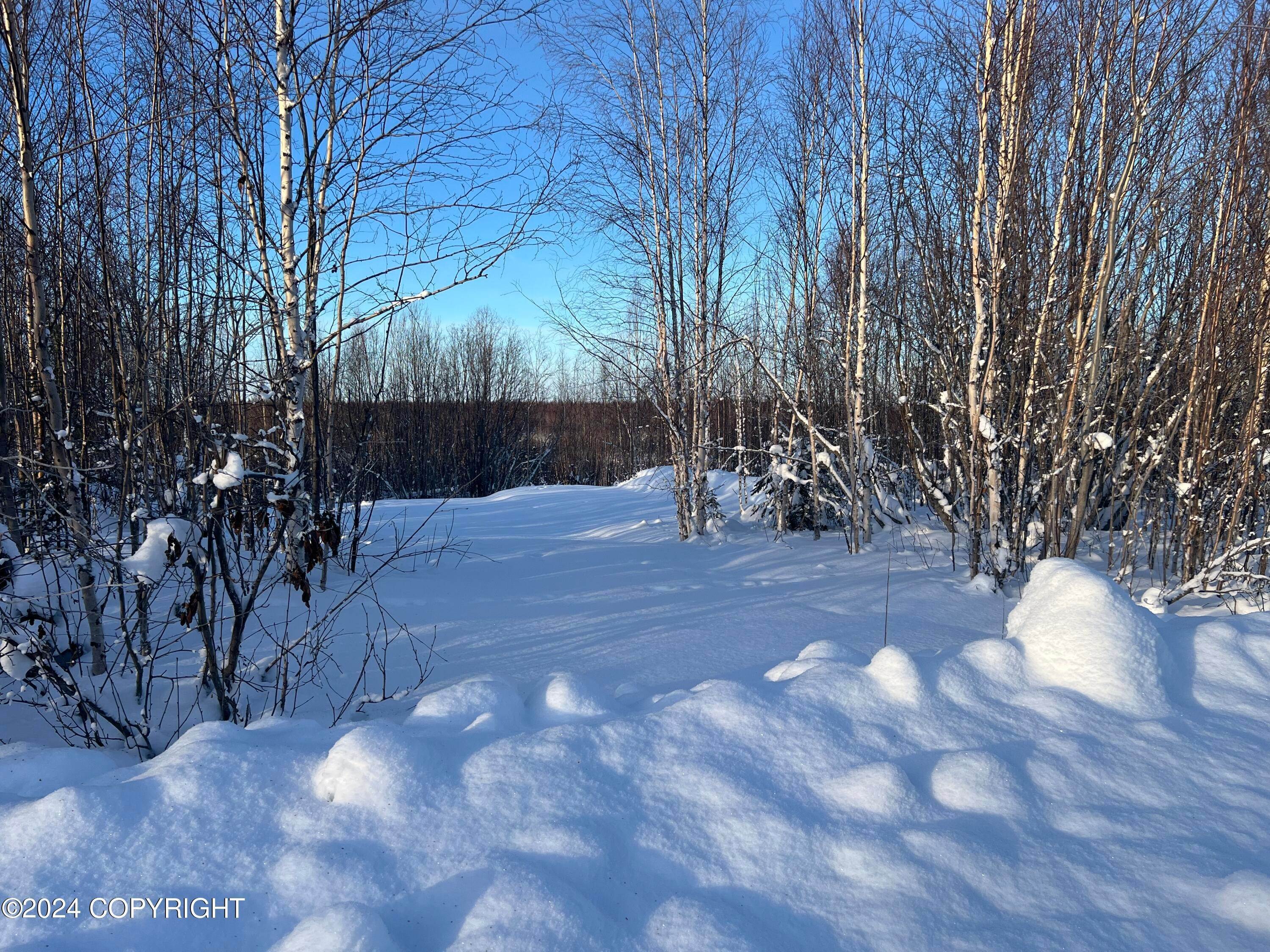 2. Land for Sale at 834 N Lilly Drive Big Lake, Alaska 99652 United States