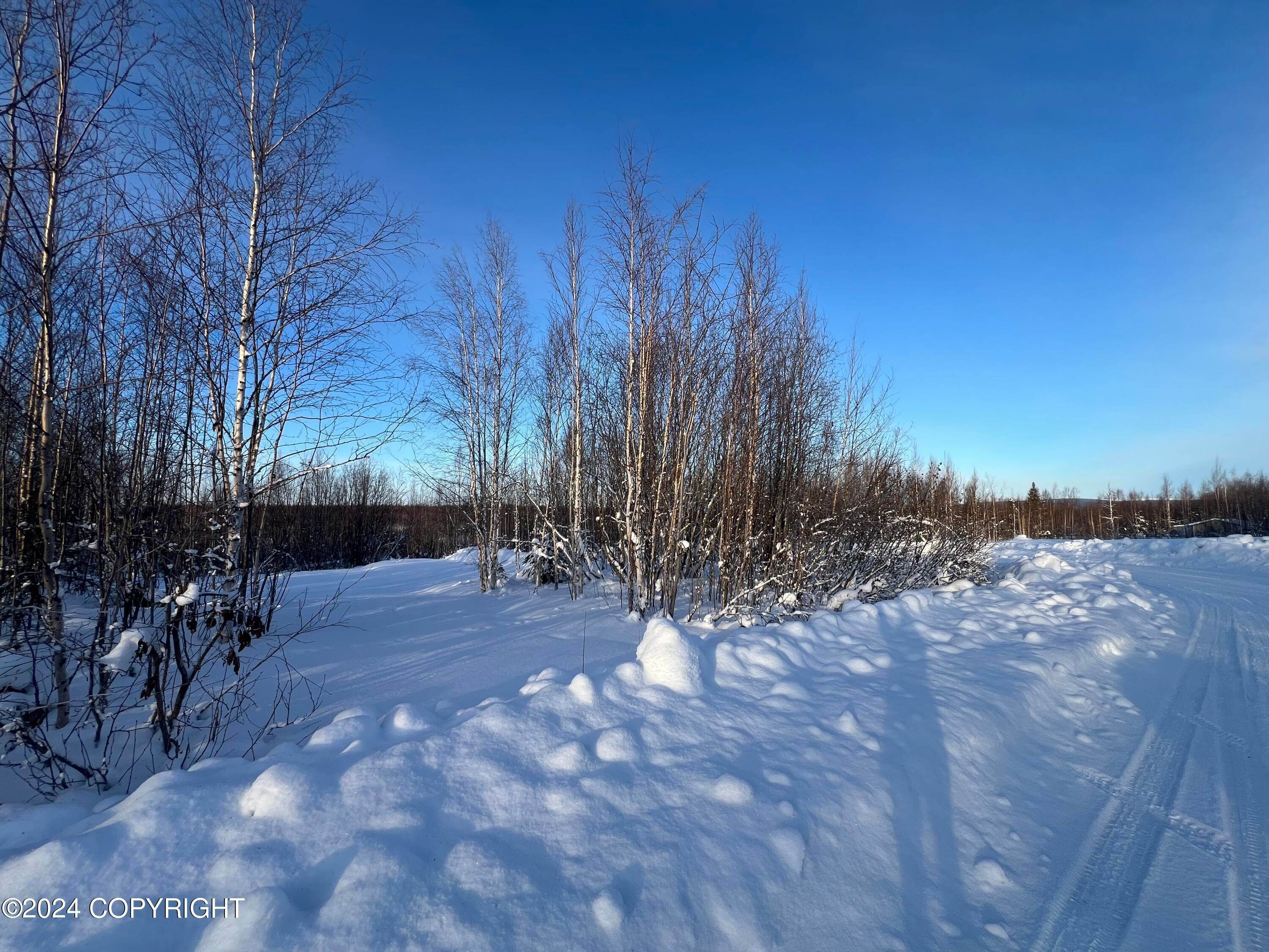 3. Land for Sale at 834 N Lilly Drive Big Lake, Alaska 99652 United States