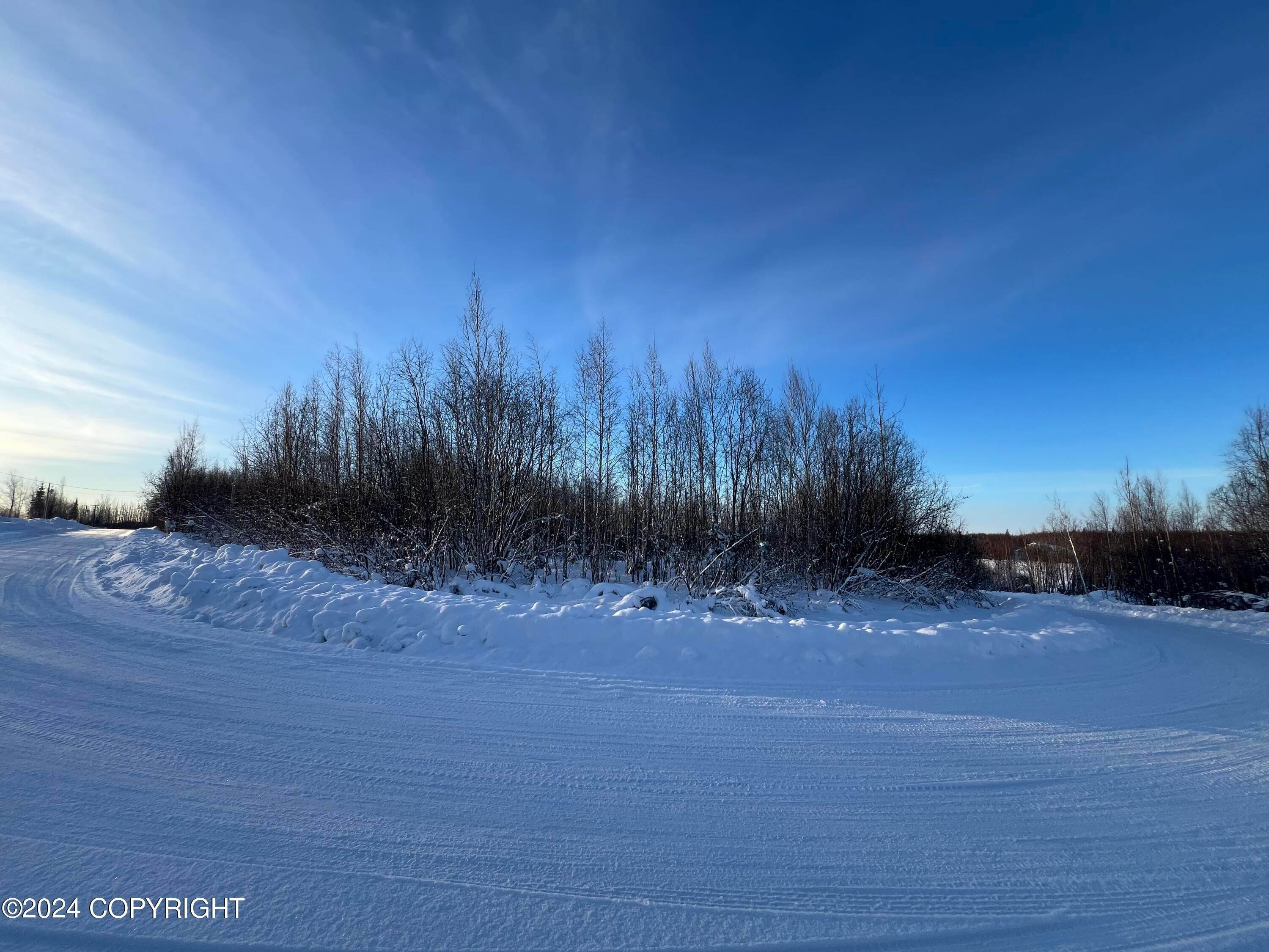 4. Land for Sale at 834 N Lilly Drive Big Lake, Alaska 99652 United States