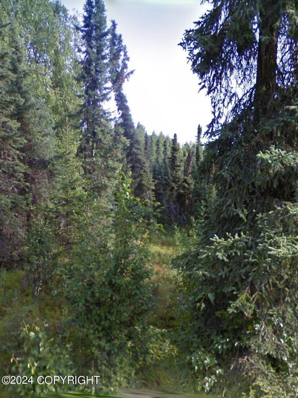 7. Land for Sale at 48705 Sterling Highway Soldotna, Alaska 99669 United States